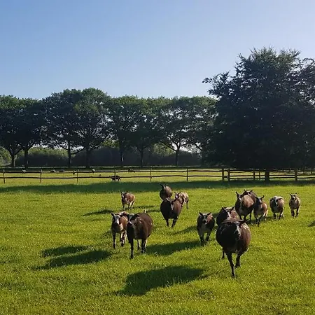 Erve Jonkerhoeve 3* Heesch