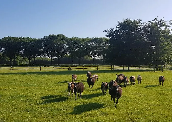 Erve Jonkerhoeve 3* Heesch