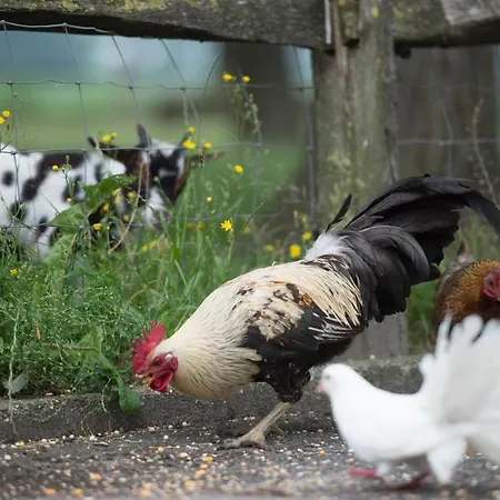 Erve Jonkerhoeve Couette-café