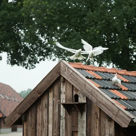 Erve Jonkerhoeve Couette-café