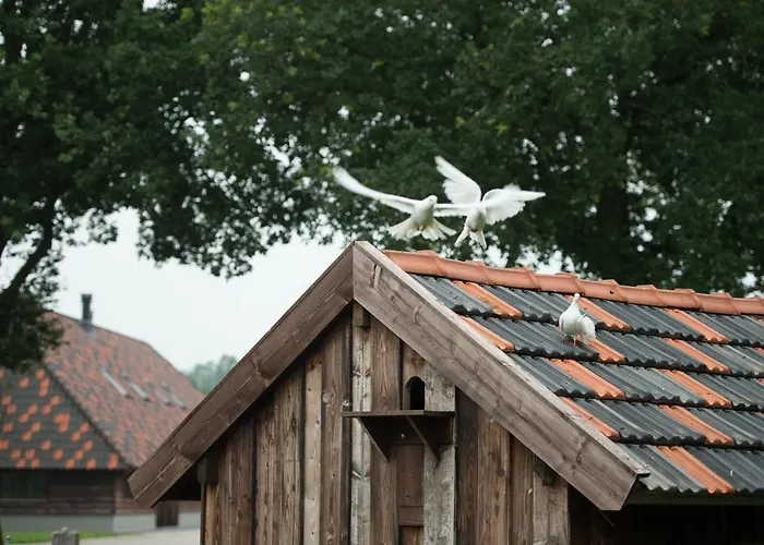 Erve Jonkerhoeve Frühstückspension